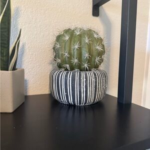 Striped Planter with Cactus